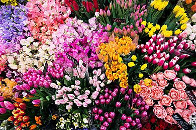 《真女神转生5》即将发布游戏补丁 增加视角和亮度调整